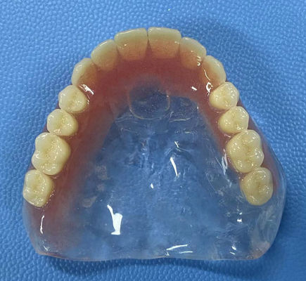 Chống vết bẩn Full Acrylic Denture Độ ổn định cao với hình dạng vòm đầy đủ